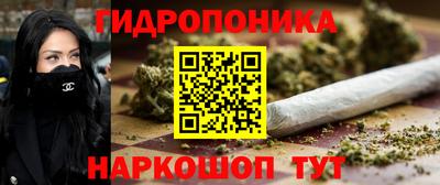 МДПВ Сланцы