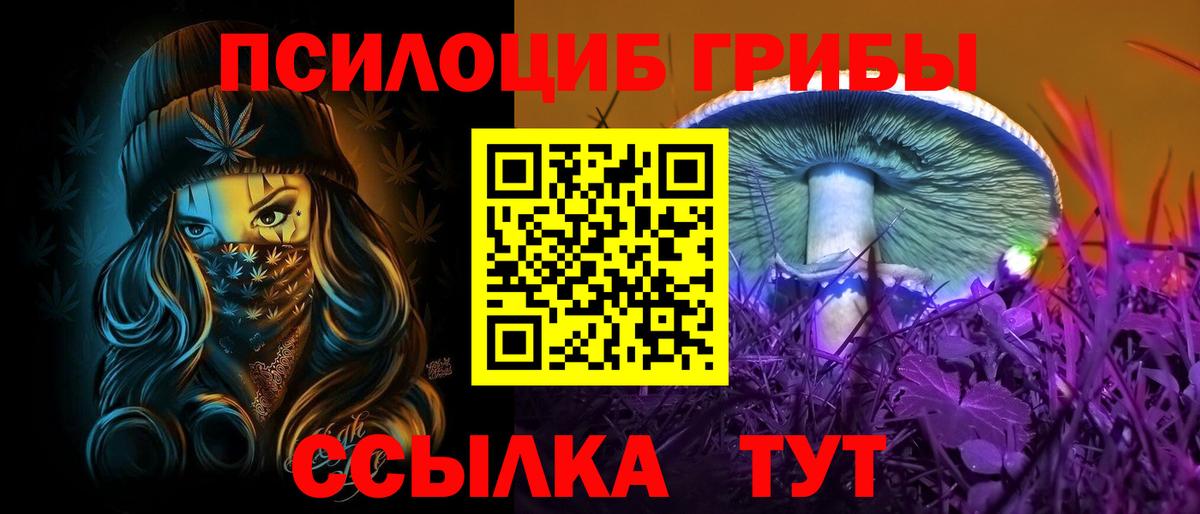 наркота  Псилоцибиновые грибы ЛСД  Псилоцибиновые грибы Magic Shrooms  Вход с VPN  Нижнекамск 